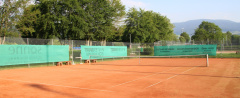 Tennis Summer School 2026: Dein Sommer, Dein Tennis