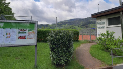 Tenniskurse und Ballschule im Herbst